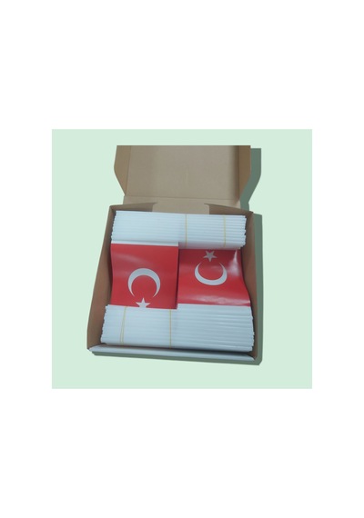 Sopalı Türk Bayrağı 2 100 Adet Diğer