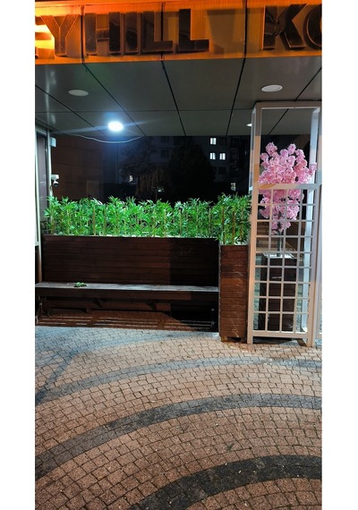 Rüzgar Yapay Çiçekçilik 50 Cm 20 Adet Bambu Yeşil