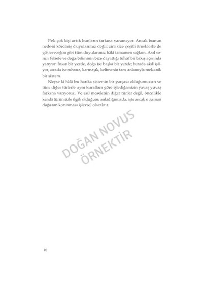 Ormanın Kalbi - İnsan İle Doğa Arasındaki Görünmez Bağ