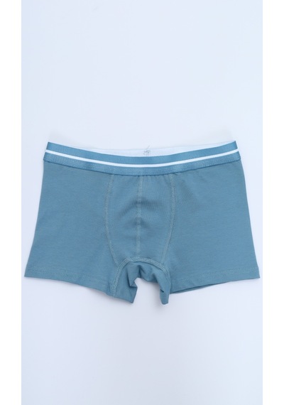 Toontoy Kids Toontoy Erkek Çocuk Garni Dikişli 4lü Paket Boxer Çok Renkli