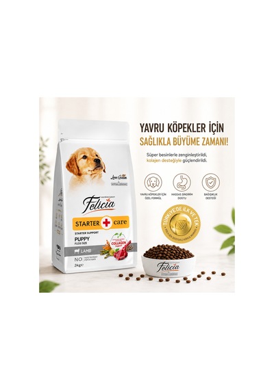 Felicia Starter Care Puppy Kuzu Etli Yavru Köpek Maması 3 Kg - 886840864