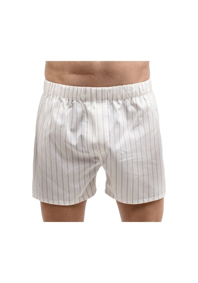 The Don Bej Asorti Çizgili Exclusive Yırtmaçlı Erkek Boxer