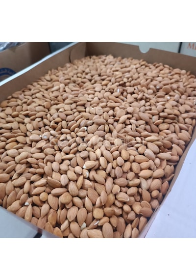 Toptan Kayısı Çekirdeği 25 Kg 25 KG