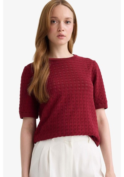 Defacto Regular Fit Bisiklet Yaka Kısa Kollu Triko Kazak F4974ax25aubr115 Bordo