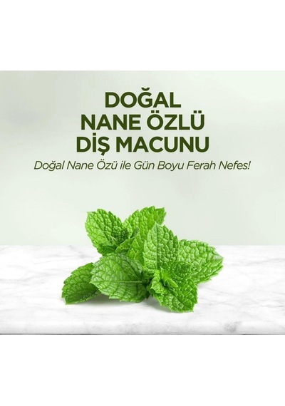 Eyüp Sabri Tuncer Doğal Nane Özlü Diş Macunu 12 x 90 ML