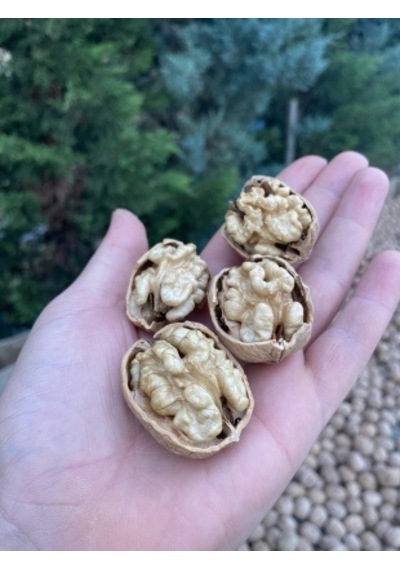 Sultan Ceviz Bahçeleri Ultra Lüks İnce Kabuklu Chandler Cinsi Kuru Ceviz 1 KG