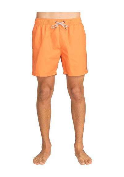 Bıllabong Billabong All Day Lb Erkek Yeşil Volley Short 763 Çok Renkli