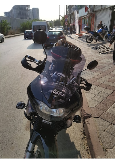 Honda Transalp Xl650 Uzun Cam Koyu Füme Zeus 50Cm 4Mm