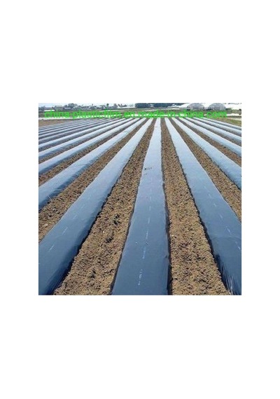 Hbv000012cuyq Çilek Mulch 130cm -