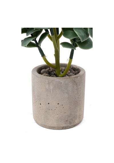 Yapay Çiçekçiniz Beton Saksıda Yapay Kaktüs