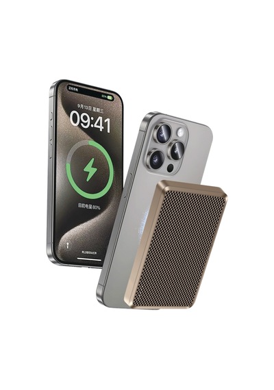 Piili Karbon 10.000 Mah P-pb5 Powerbank Altın