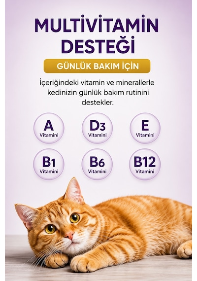 Tüy Dökülme Engelleyici, Tüy Yumağı Ve Kusma Önleyici Multivitamin Kedi Malt Macun 100 Gr