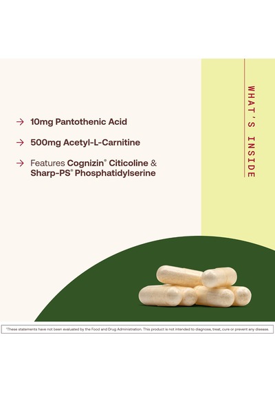 Jarrow Formulas Neuro Optimizer 120 Kapsüller Orijinal Usa Menşeii Dmmedicineden
