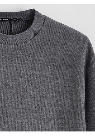 Lcw Everyday Antrasit Bisiklet Yaka Oversize Kadın Tişört