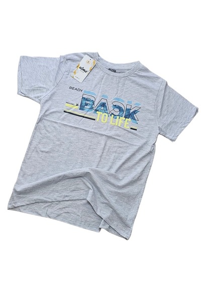 Almi Erkek Çocuk T-shirt Gri