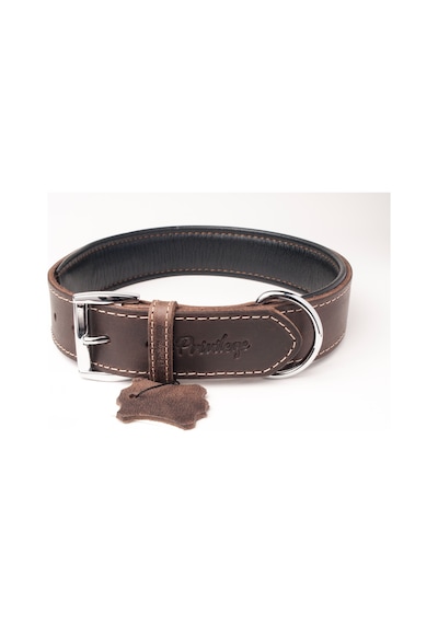 Privilege Hakiki Yağlı Deri Köpek Boyun Tasması XS Koyu Kahverengi 2 x 29-37 CM Koyu Kahverengi
