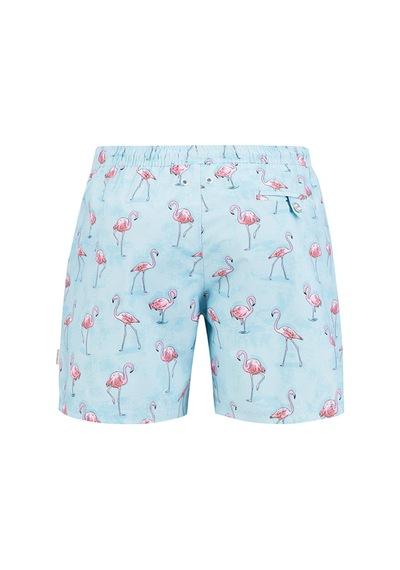 John Frank Flamingo Desenli Hızlı Kuruyan Mayo Short Erkek Mayo Short Jfsssw43 Açık Mavi John Frank Flamingo Desenli Hızlı Kuruyan Mayo Short Erkek Mayo Short Jfsssw43 Açık Mavi