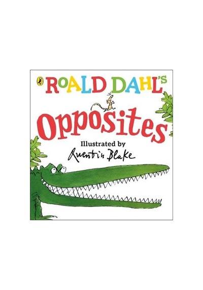 Roald Dahl’s Opposites 9780241330555