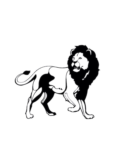 Aslan Lion Folyo Sticker 30cm Uzunluk Siyah