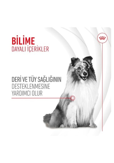 Skin&coat Chews Deri Ve Tüy Sağlığını Destekleyen Tamamlayıcı Ödül Maması 240g