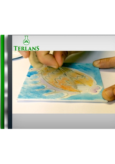 Terlans Ahşap ve Porselen Boyama Maskeleme Jeli 500 Ml