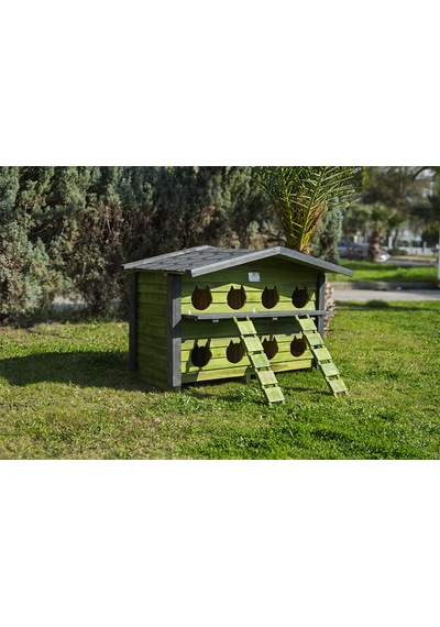 8 Yuvalı Kedi Evi Pati Emlak