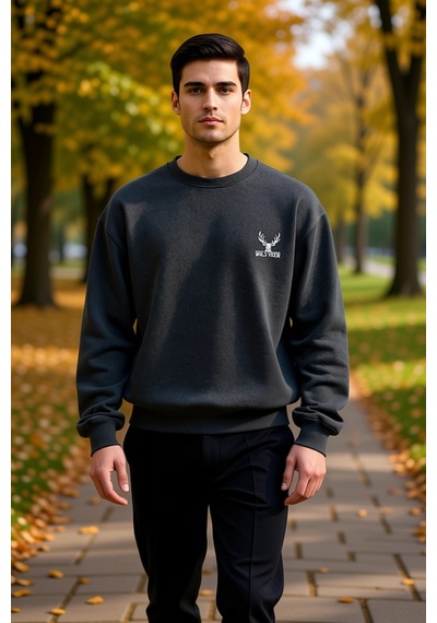 Benerly Erkek Bisiklet Yaka Düşük Kol Uzun Kol Sweatshirt Fonksiyonel Day Antrasit Melanj