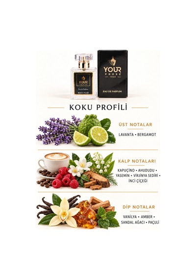 Your Prose E222 Sedir Ağacı Ve Muskat Notalı Aromatik Baharatlı Odunsu Erkek Parfümü Edp 50 Ml - 8690352000012yp222