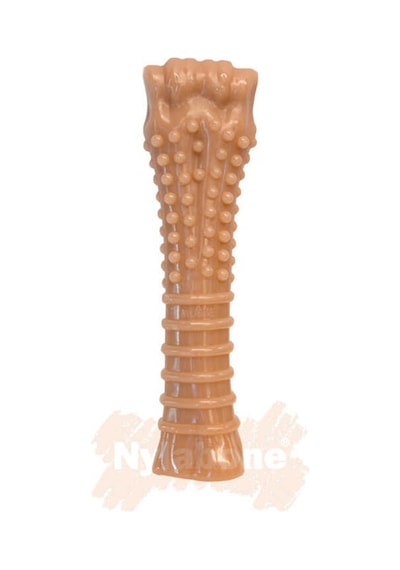 Nylabone Ec Domuz Pastırması Aromalı Köpek Çiğneme Kemiği XL