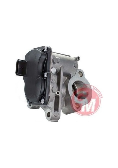 GUA 41134 EGR Valfi Renault Megane III Trafic III Qashqai 1.6DCI