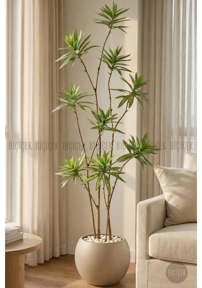 Biçiçek Yapay Dragon Bi̇tki̇si̇ 160 Cm Antresi̇t Mocha Saksıda