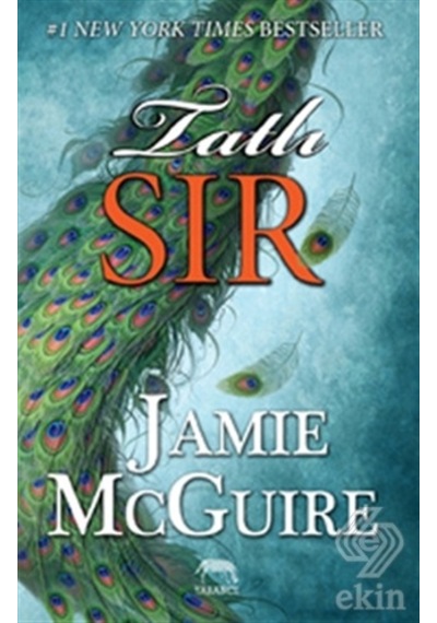 Tatlı Sır - Jamie McGuire - Yabancı