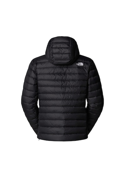 The North Face M Classıc Down Hooded Jacket Erkek Ceket Nf0a8d1tjk31 Siyah