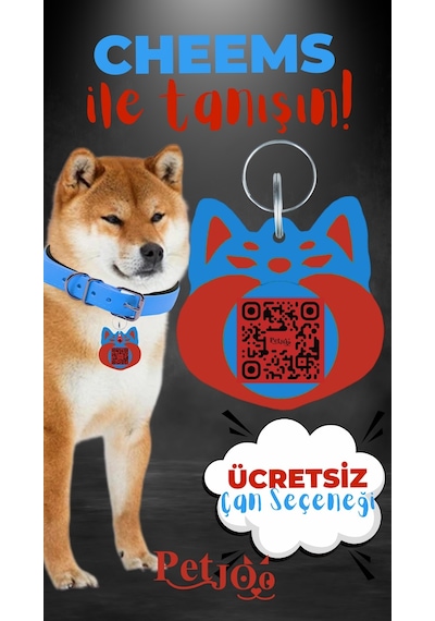 Petjoo 18.Cheems Kırmızı-Mavi Qr'lı Köpek Künyesi