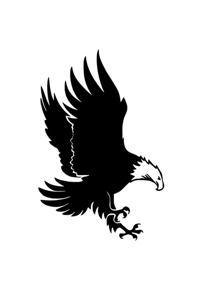 Avcı Kartal Sticker 10 X 15 Cm