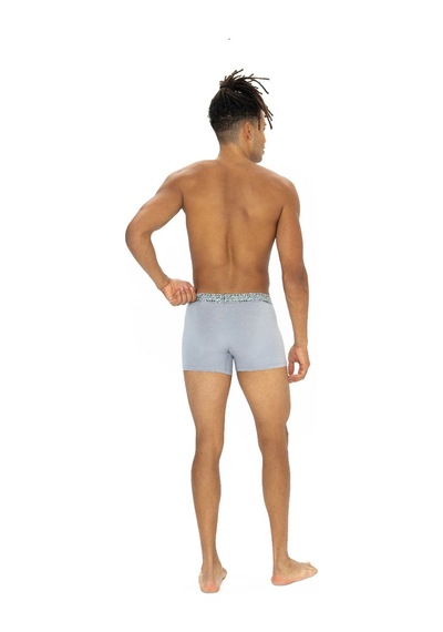 U.S. Polo Assn. U.s Polo Assn. 80543 Erkek Pamuklu 3'lü Boxer-lacivert&indigo&gri Lacivert&indigo&gri
