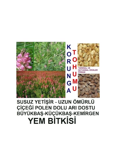 10.000 Adet Büyükbaş Hayvan Yemi Korunga Tohumu