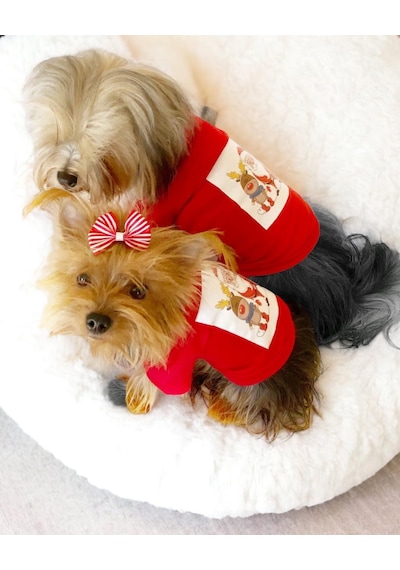 Santa And Friend Rudolph Köpek Tişörtü Yılbaşı Noel Christmas Köpek Elbisesi