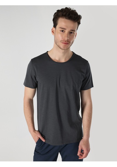 Colin's Colins Regular Fit Bisiklet Yaka Basic Antrasit Erkek Kısa Kol Tişört Cl1058580 Antrasit