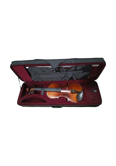 Vivaldi Vl-904a 4/4 Cilalı Keman Seti Tam Boy