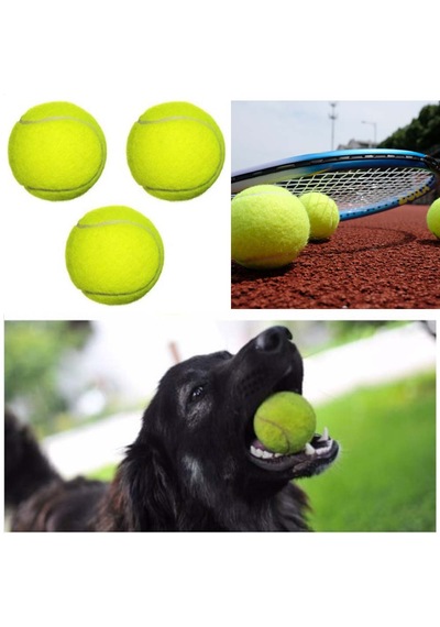 3 Adet Tenis Topu Köpek Oyun Topu Ve 1 Adet Zilli Ayarlanabilir Kedi Tasması