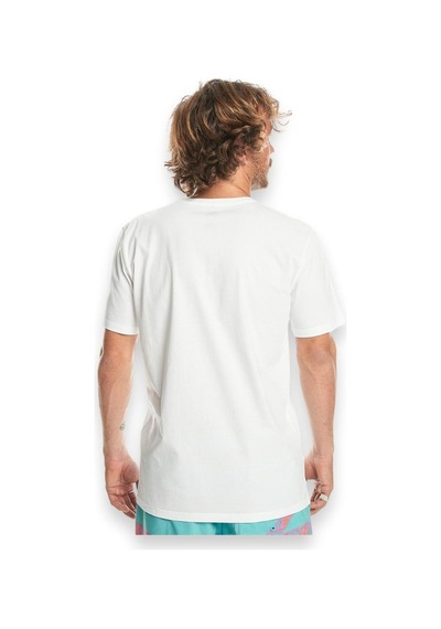 Quiksilver Eqyzt07657 Mw Mini Logo Ss Beyaz Erkek T-shirt Beyaz