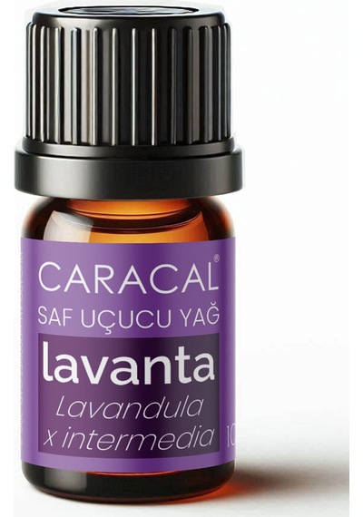Caracal %100 Saf Lavanta Yağı 5ml Doğal Lavanta Uçucu Yağı 5 ML
