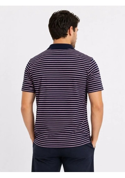 Veraura Lifestyle Erkek Pike Kumaş Gül Kurusu Çizgili Polo Yaka Tişört Kısa Kol T-shirt - Siyah