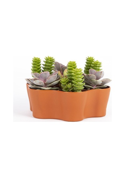 Plastik Kaktüs Saksı 5,5 Cm 95425225