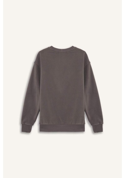 Defacto Relax Fit Bisiklet Yaka Polar Sweatshirt F3685ax25wngr308 Gri-gr308