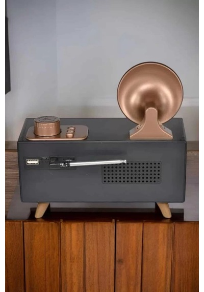 Northcity Nostaljik Görünümlü Bluetooth Bağlantılı Speaker