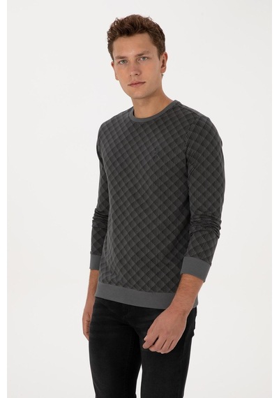 U.S. Polo Assn. Erkek Regular Fit Bisiklet Yaka Pamuk Antrasit Sweatshirt 2245989