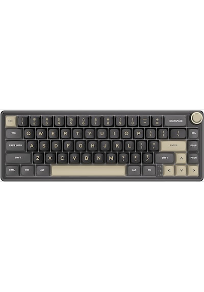 Royal Kludge R65 RKR65-PT-XH 65% Kablolu Us Gaming Klavye
