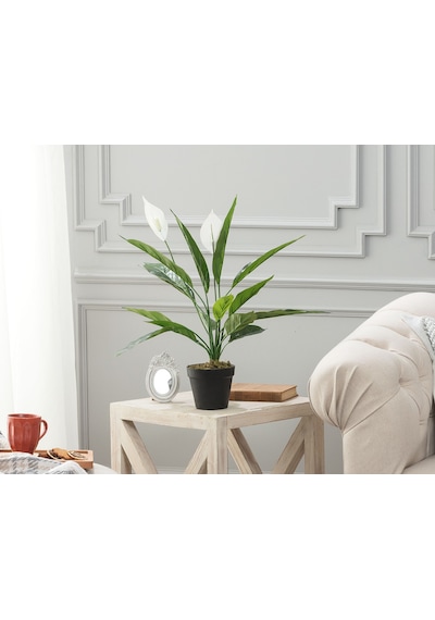 Madame Coco Broche Saksılı Bitki 1kcıck1749 58cm-std